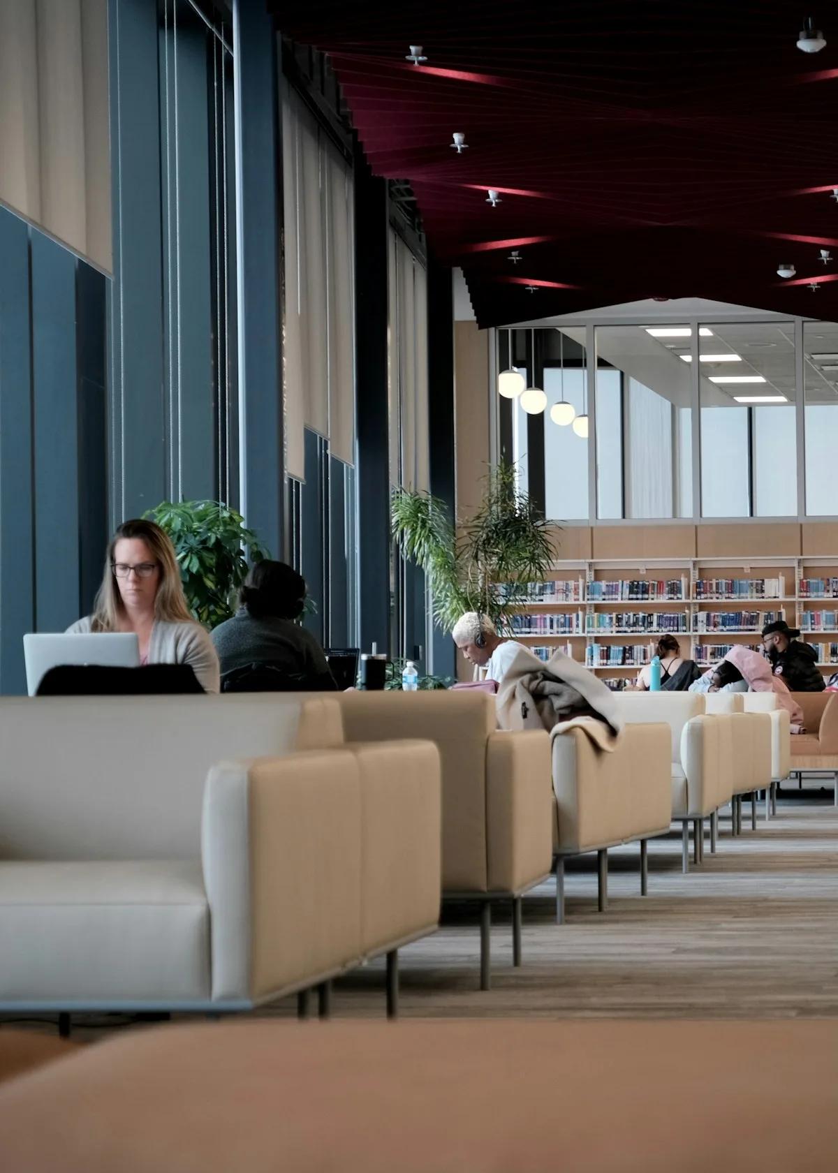 People studying with laptops in a library beside tall windows